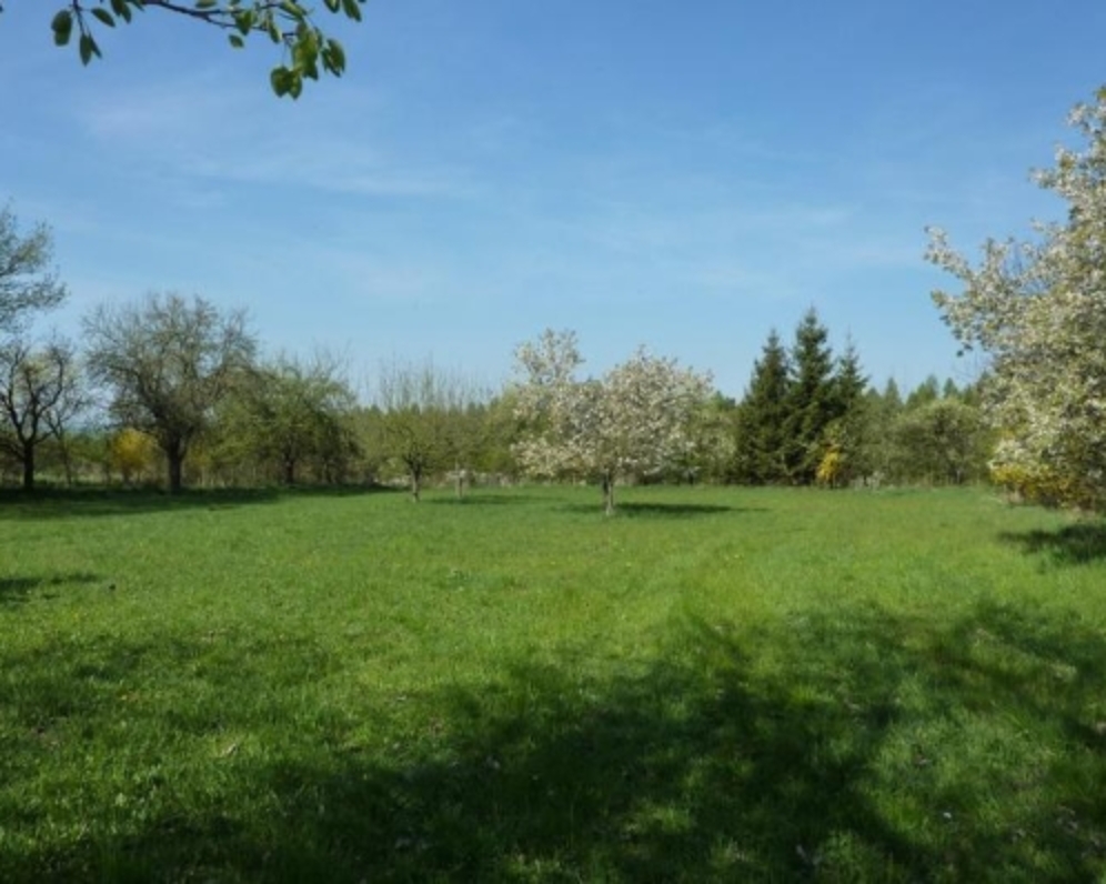 Zahrada 3170 m2 a přilehlé orné půdy 2177 m2 v obci Bezděkov u Dolních Kralovic.